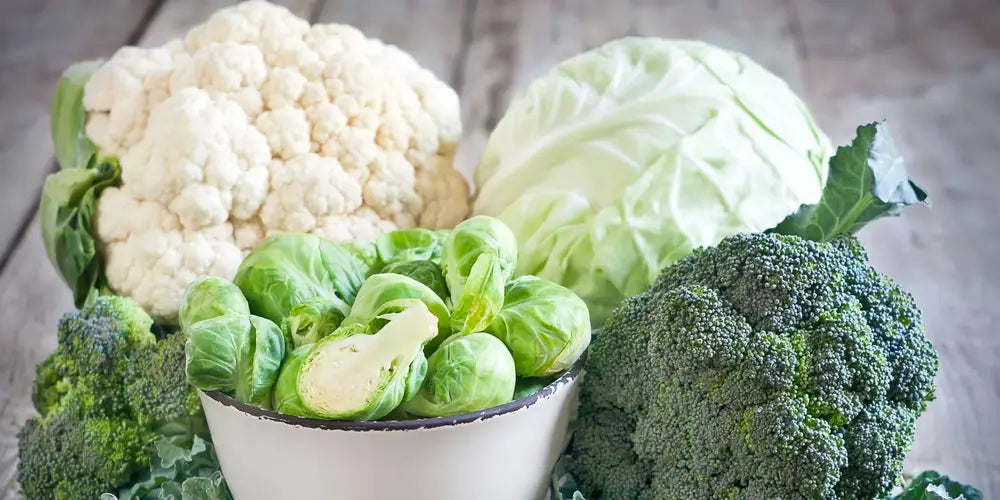 Cauliflower vs. Cabbage: Which Winter Crop Suits Your Farm Best?