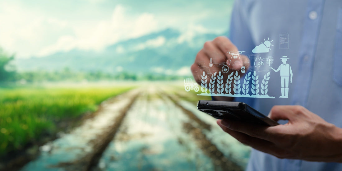 Farm Subsidies 2025: Are Farmers Truly Benefiting?