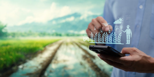 Farm Subsidies 2025: Are Farmers Truly Benefiting?