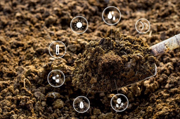 मृदा स्वास्थ्य कार्ड(Soil Health Card) और Parth AI: स्मार्ट खेती की ओर कदम