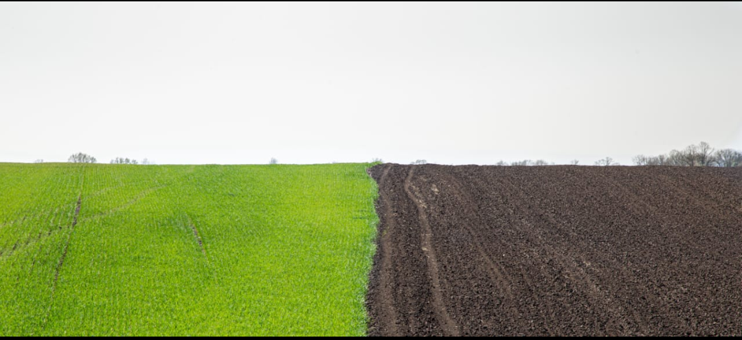 What Can Farmers Do Now to Protect Crops from Heatwaves and Unpredictable Rains?