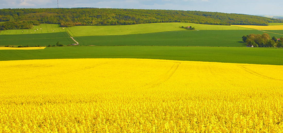 Increase Your Productivity By Making A Soil Tillage Plan