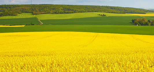 Increase Your Productivity By Making A Soil Tillage Plan