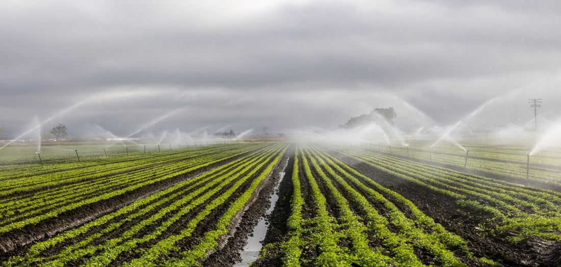 Smart Irrigation Systems: Saving Water and Boosting Yields