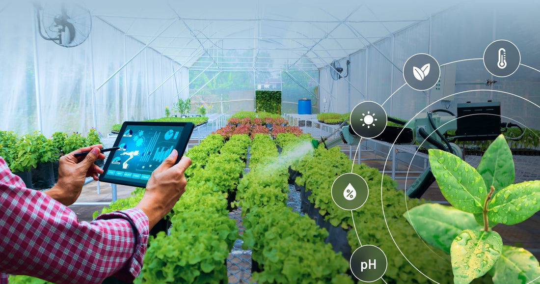 The Role of Sensor-Based Technology in Monitoring Crop Health