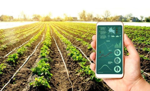 How Can Farmers Achieve Peace of Mind with Remote Irrigation Control?