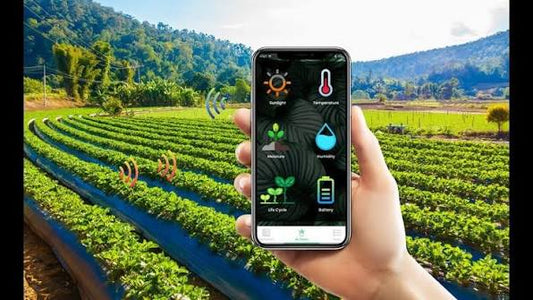 A Complete Guide to Choosing the Right Smart Irrigation System