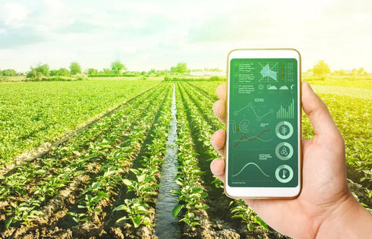 How Do Farmers Use AI-Powered Apps to Diagnose Crop Diseases Instantly?