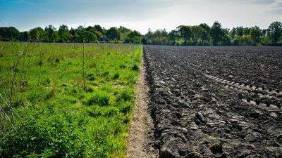Smarter Water Management for the Modern Indian Farmer
