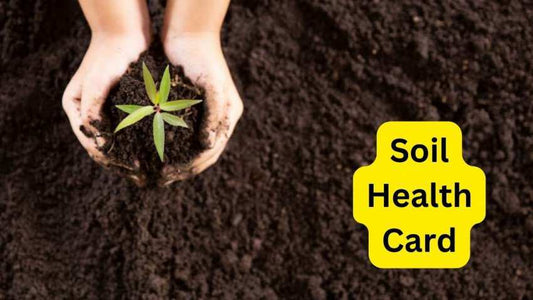 What Does "Low," "Ideal," and "Excess" Mean on Your Soil Health Card?