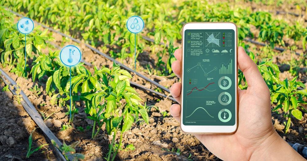 Inside the AI That Turns a Soil Test Into a Stage-by-Stage Nutrient Plan