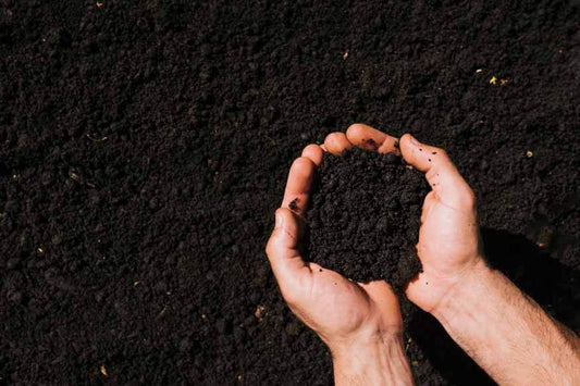 Why Cheap Urea Is Quietly the Most Expensive Input on Your Farm