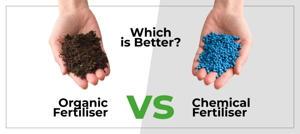 Organic vs Chemical Fertilizers: Which Gives Better Long-Term Yield?