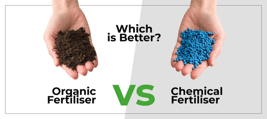 Organic vs Chemical Fertilizers: Which Gives Better Long-Term Yield?