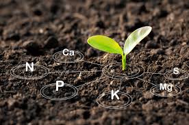 Inside the KrishiVerse System That Converts Soil Data Into Precise Field-Level Recommendations