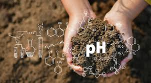 Why KrishiVerse’s Smart Soil Sensor Is Not Just Another Field Tool