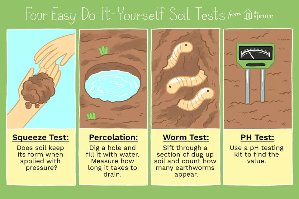 Is There a Way to Test Soil at Home Without Waiting for Lab Results?