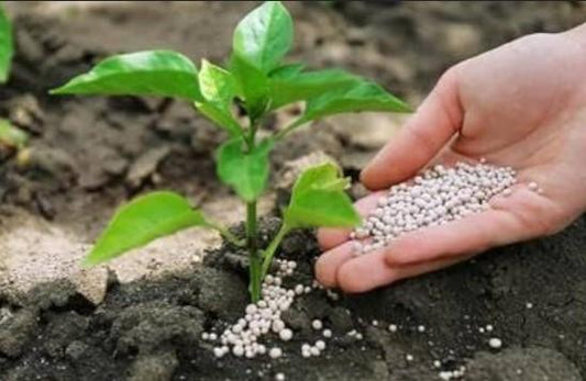 A Practical Guide to On-Farm Soil Nutrient Testing for Indian Farmers in 2026