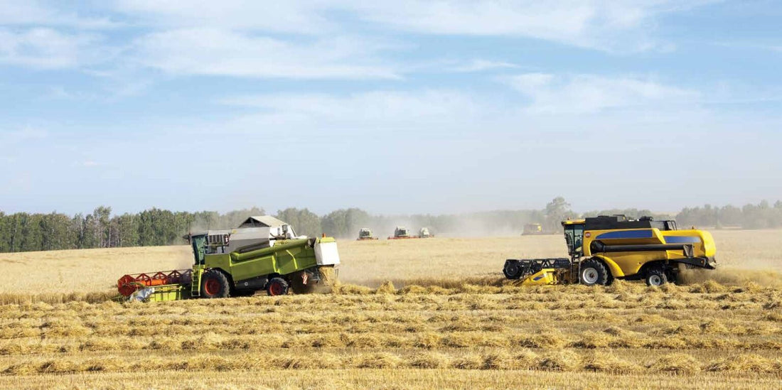 How Climate Change Is Affecting Winter Crop Harvest Schedules