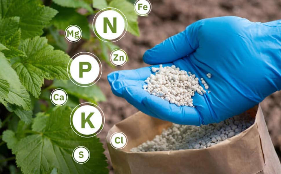 Fertilizer recommendations: How the Soil Health Card helps balance crop nutrition and avoid overuse
