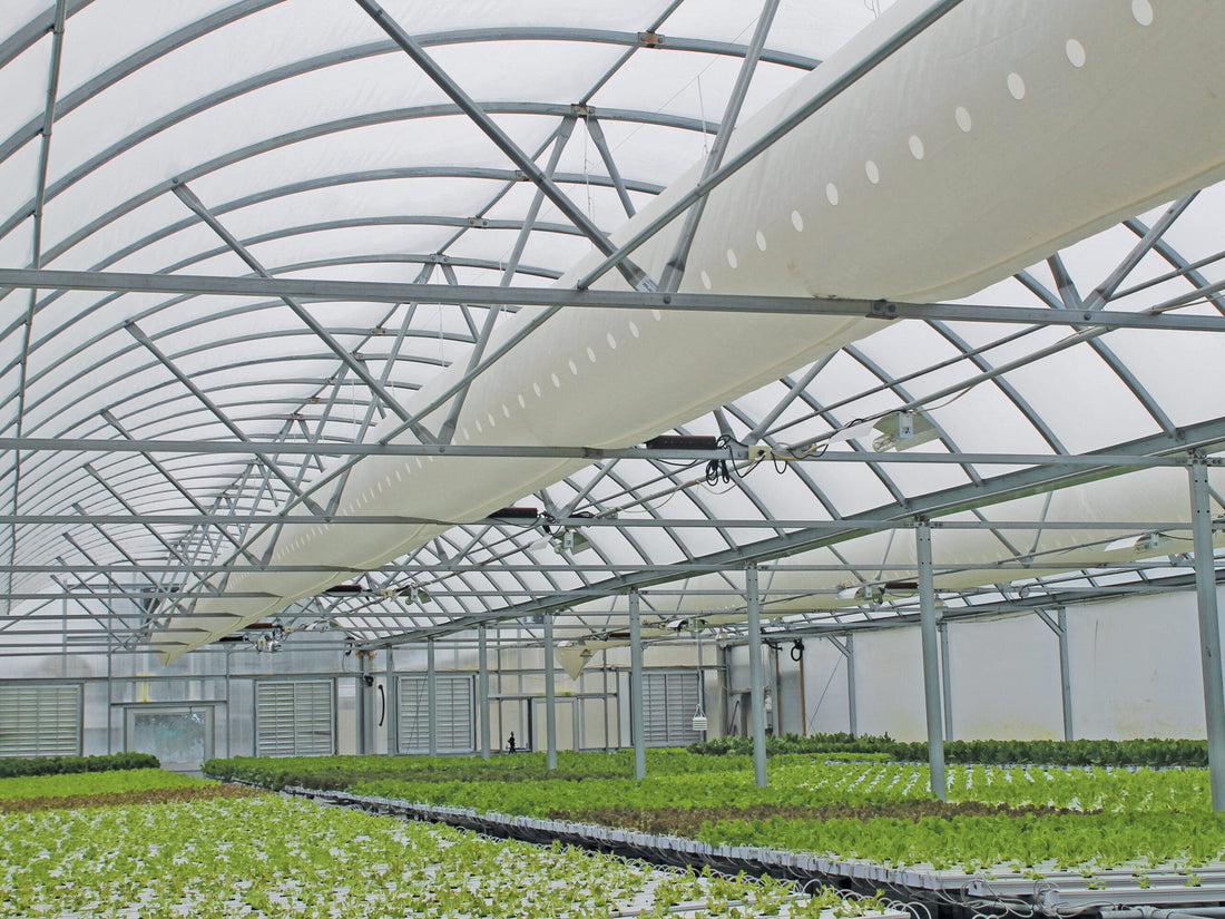 Innovations in green house and tunnel farming for winter crop protection
