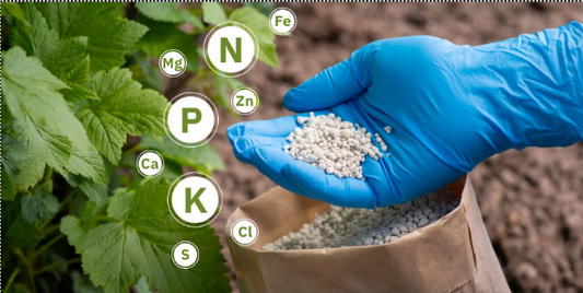 NPK NUTRIENT IMAGE 