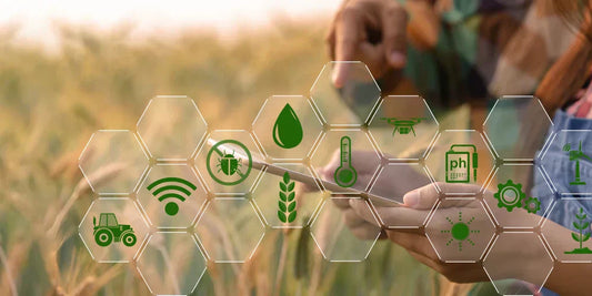 How Krishi Bandhu is Building Trust Between Farmers and Modern Agri-Tech Services