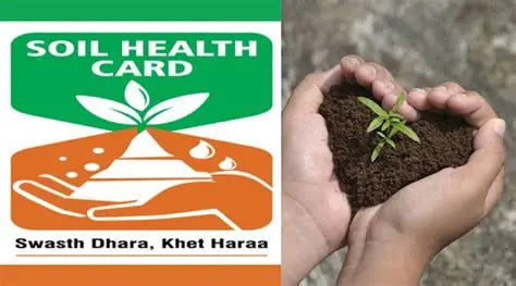 The Refresh Schedule That Keeps Your Fertilizer Plan Honest