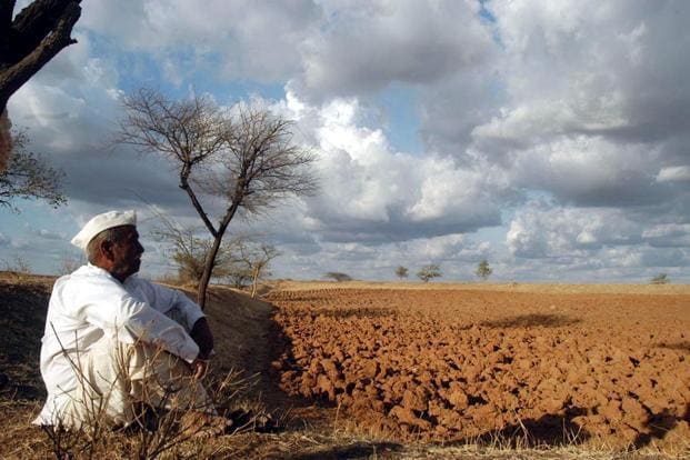 Which Crops Should You Plant If Your Region Gets Less Than 500mm of Rainfall? 