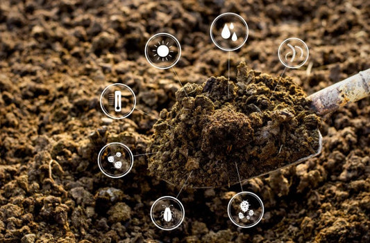 मृदा स्वास्थ्य कार्ड(Soil Health Card) और Parth AI: स्मार्ट खेती की ओर कदम