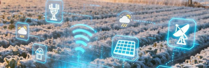 How Smart Farming Saves Crops from Winter Chill