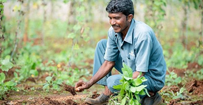 Empowering farmers: Success stories and challenges in implementing the Soil Health Card scheme