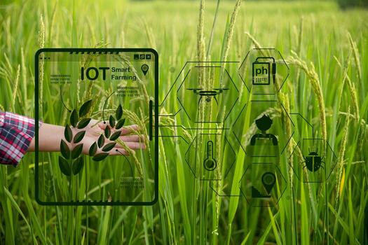 How Does IoT Reduce Fertilizer Waste?