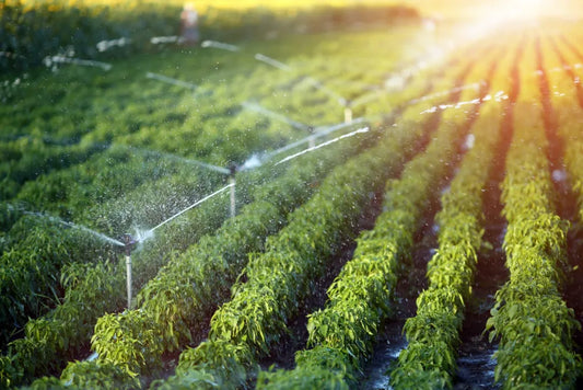 A Practical Maintenance Guide for Indian Farmers 