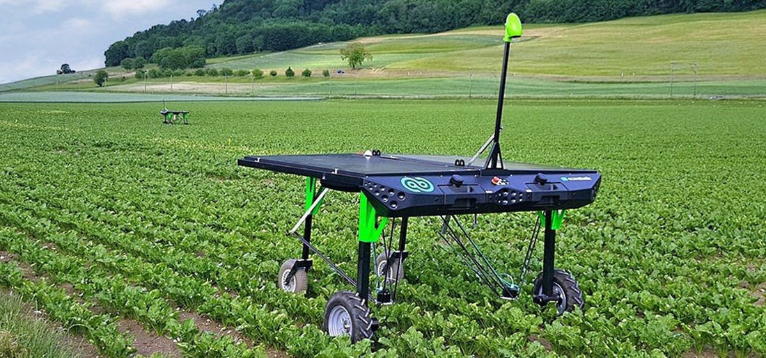 Worried About Labor Costs? Try AI Weeding on Your Farm