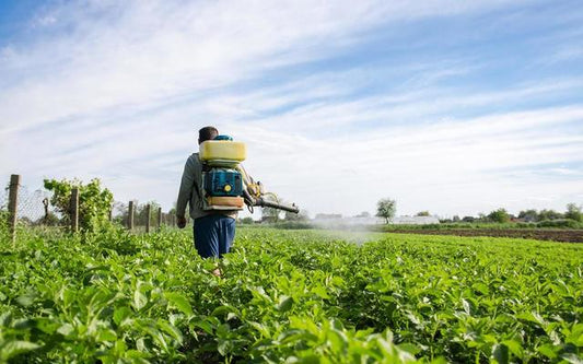 Common Mistakes Farmers Make While Spraying Fertilizer – And How to Avoid Them