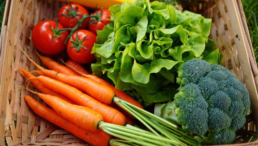 Integrating organic practices for healthy winter harvests