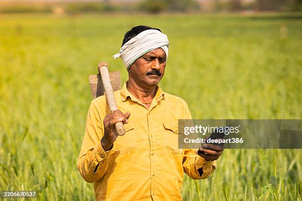 Indian farmer using smartphone in field