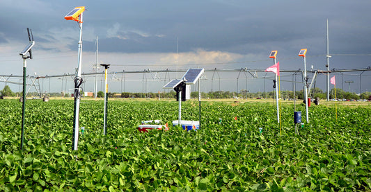 Dhara soil sensor in field