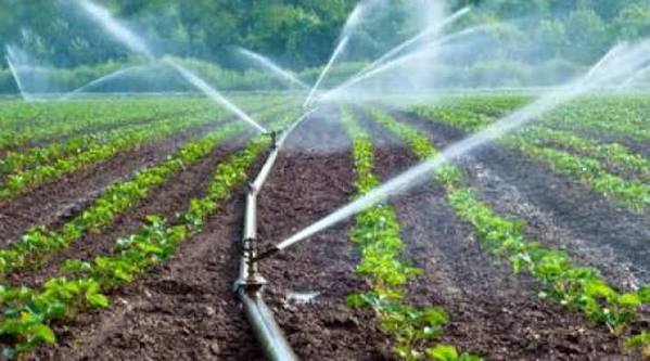 How to Cut Your Micro-Irrigation Bill by 45–90% Through PMKSY