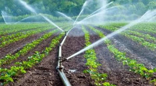 How to Cut Your Micro-Irrigation Bill by 45–90% Through PMKSY
