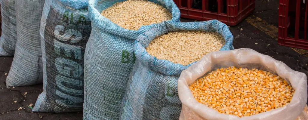 Post-Harvest Handling and Cleaning Procedures for Winter Grains