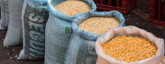 Post-Harvest Handling and Cleaning Procedures for Winter Grains