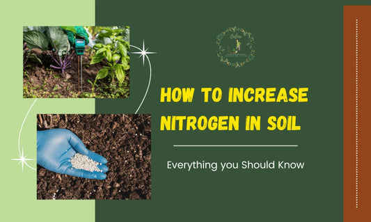 How to Match Fertilizer Type to Your Soil's Actual Nutrient Levels