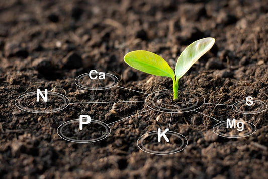 What Nutrients Does ParthAI Check When You Scan Your Soil Report?