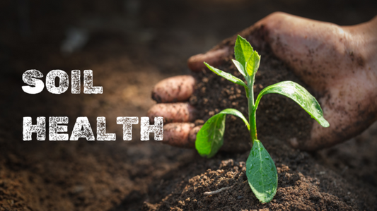 A Science-Backed Comparison for Indian Farmers in 2026