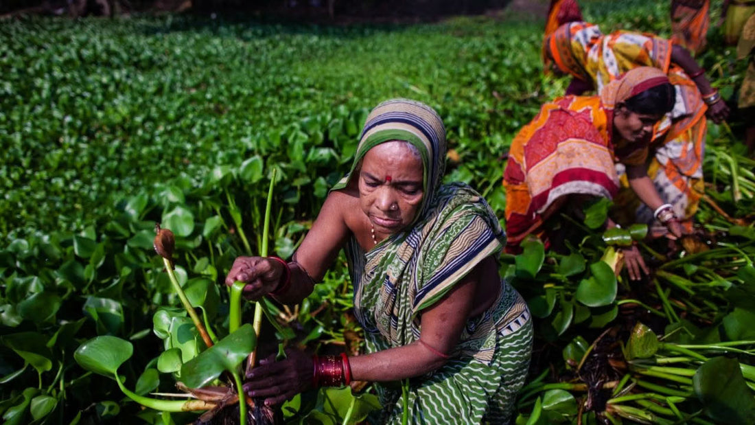 Is ParthAI Free to Use for Small and Marginal Farmers?