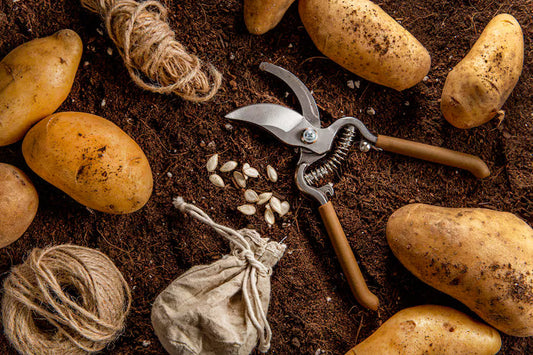 Perfect Soil for Potatoes – A Farmer’s Guide