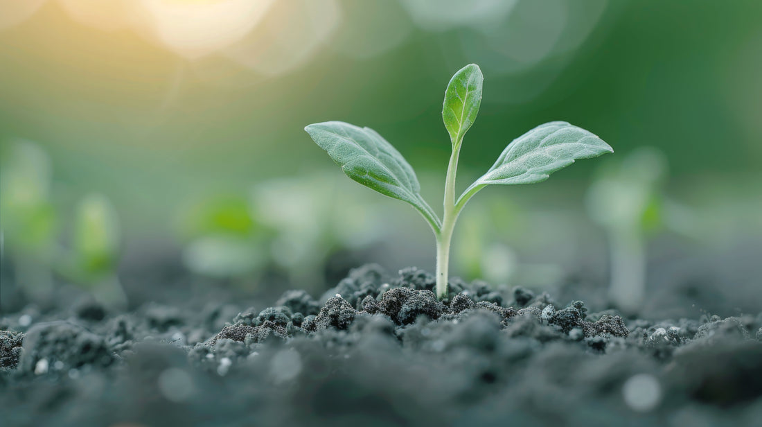 Role of organic manures, compost, and biofertilizers in meeting crop nutrient demands