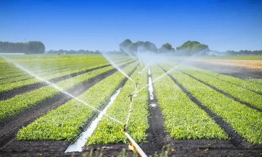 Sprinkler Irrigation: Why Successful Farmers Use It